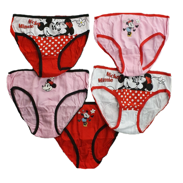 Minnie Mouse Briefs Girls Disney Minnie Mouse Underwear Brief 5 In A
