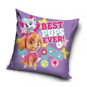 Paw Patrol Cushion Kids Paw Patrol Cushion/Pillow Size 40 x 40 cm Best Pup Ever