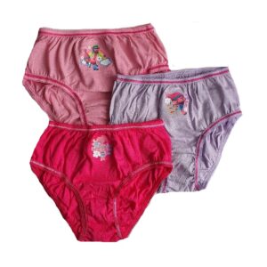 72 Pieces Girls Cotton Blend Assorted Printed Underwear Size 2-3t - Girls  Underwear and Pajamas - at 