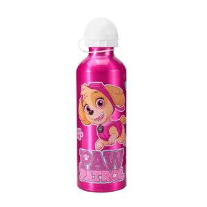 Paw Patrol Water Bottle Girls Paw Patrol Skye Aluminium Water Bottle 520ml
